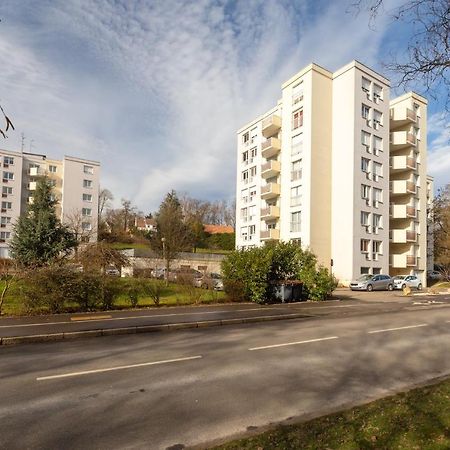 Travel Homes - Le Rebberg, Superbe Vue A Mulhouse Exterior foto