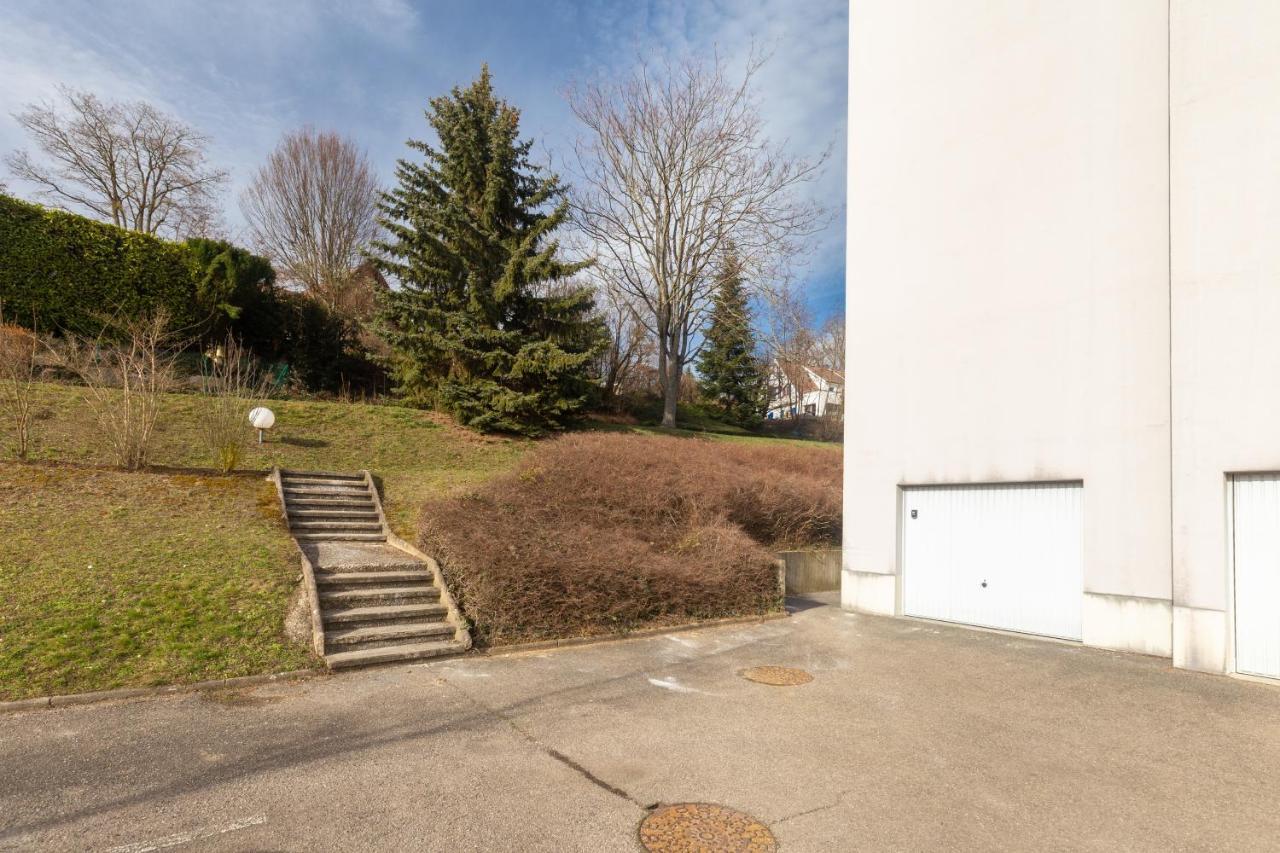 Travel Homes - Le Rebberg, Superbe Vue A Mulhouse Exterior foto